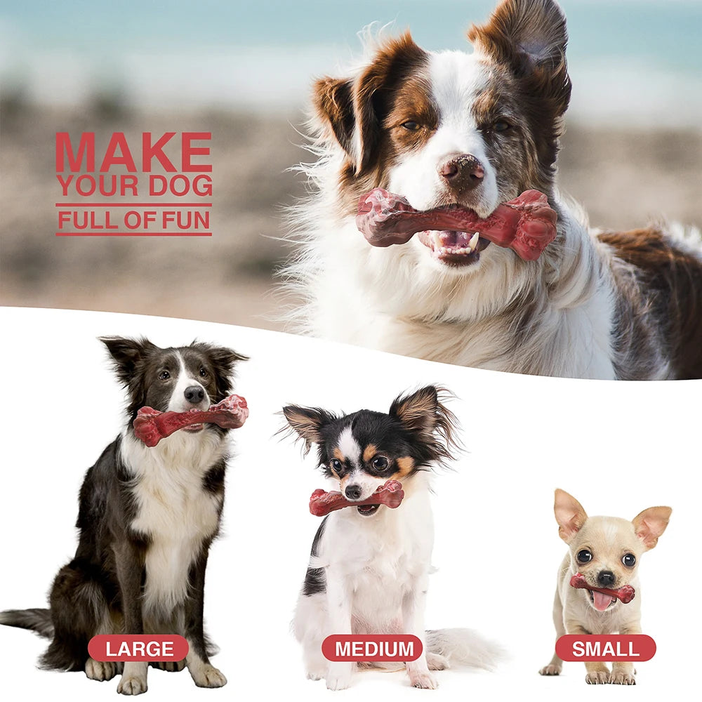 Tough Chew Dog Toy