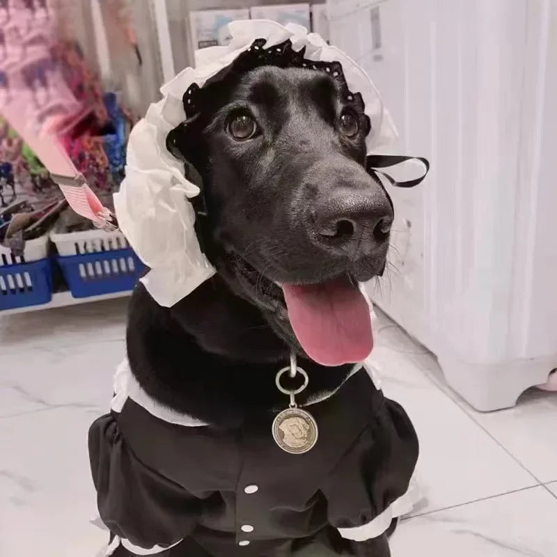 Summer Cosplay Dog Dress