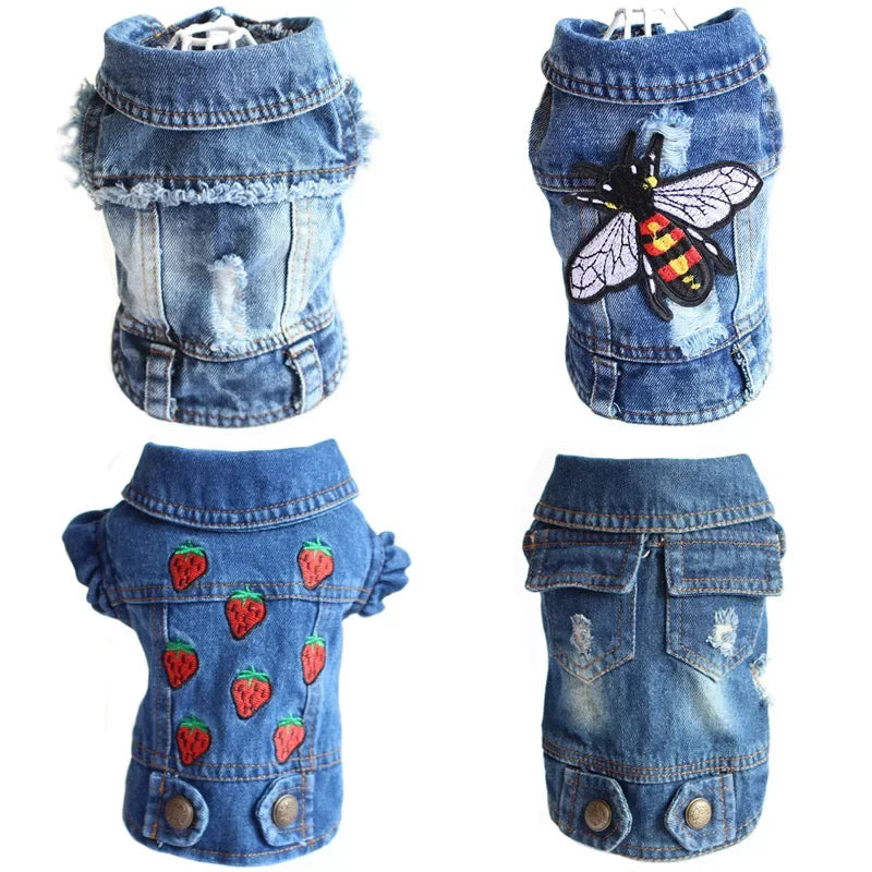 Denim Cat Jacket Outfit