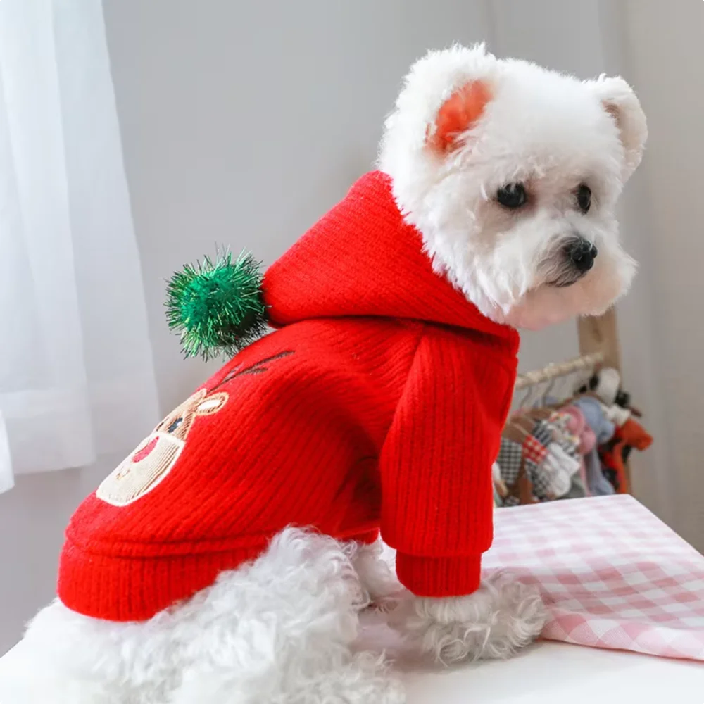Christmas Pet Skirt Dress