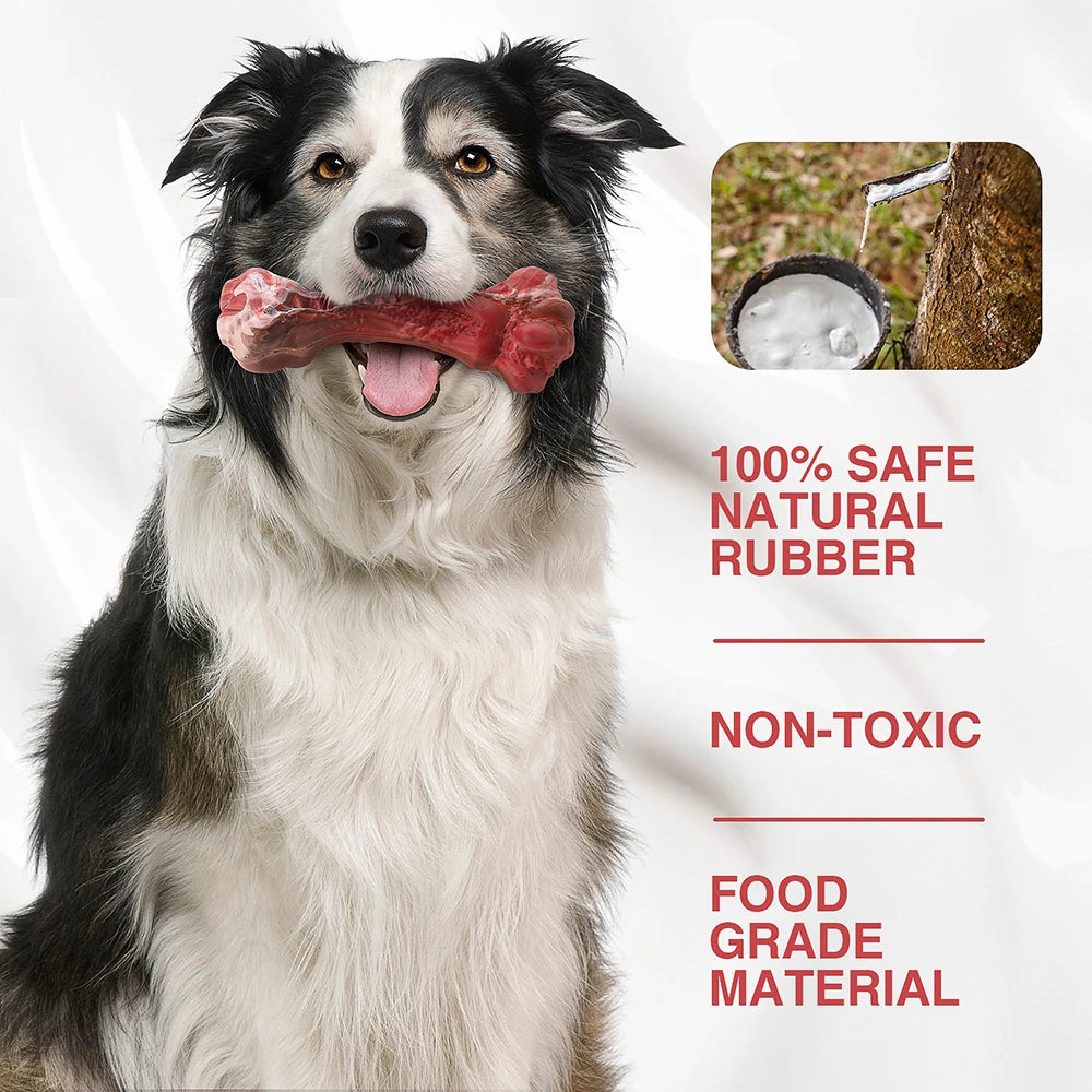 Tough Chew Dog Toy