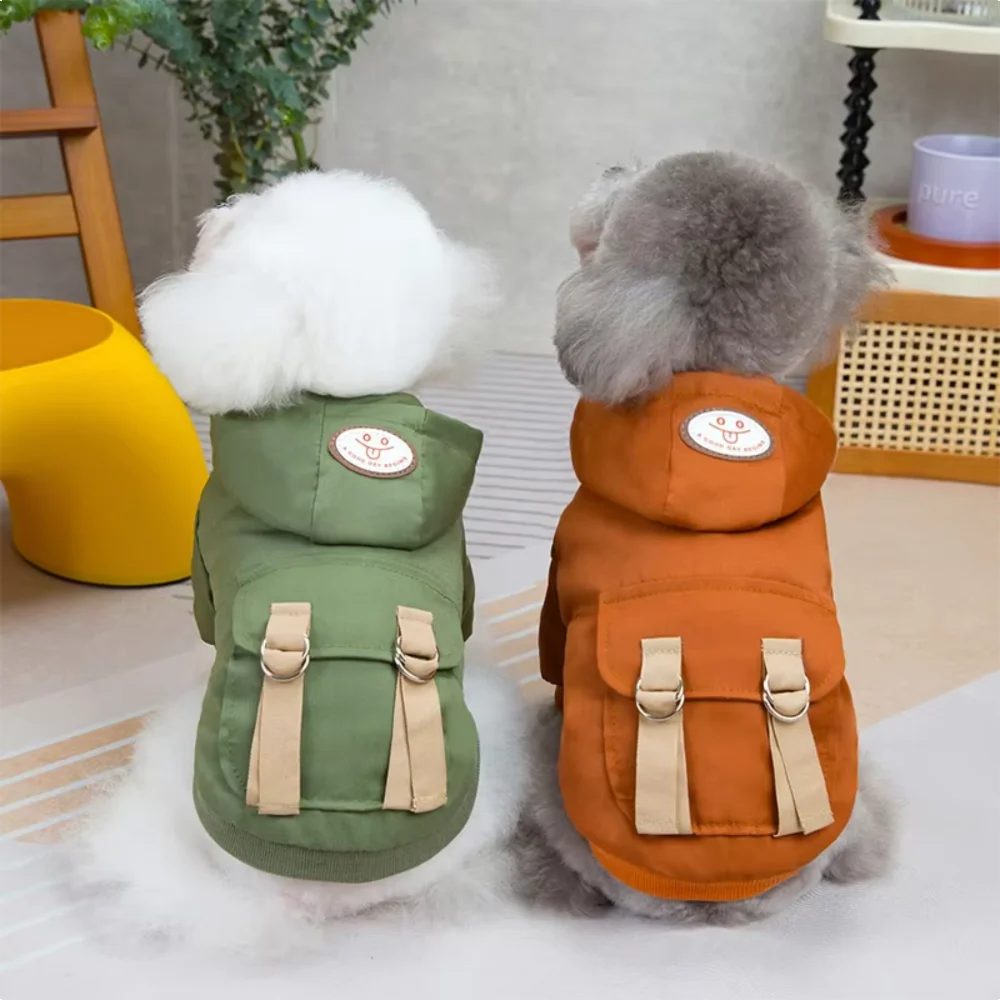 Luxury Dog Hoodie Outfit