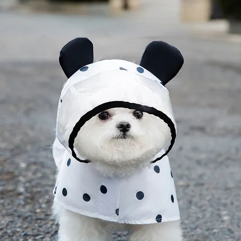 Cute Dog Raincoat Outfit