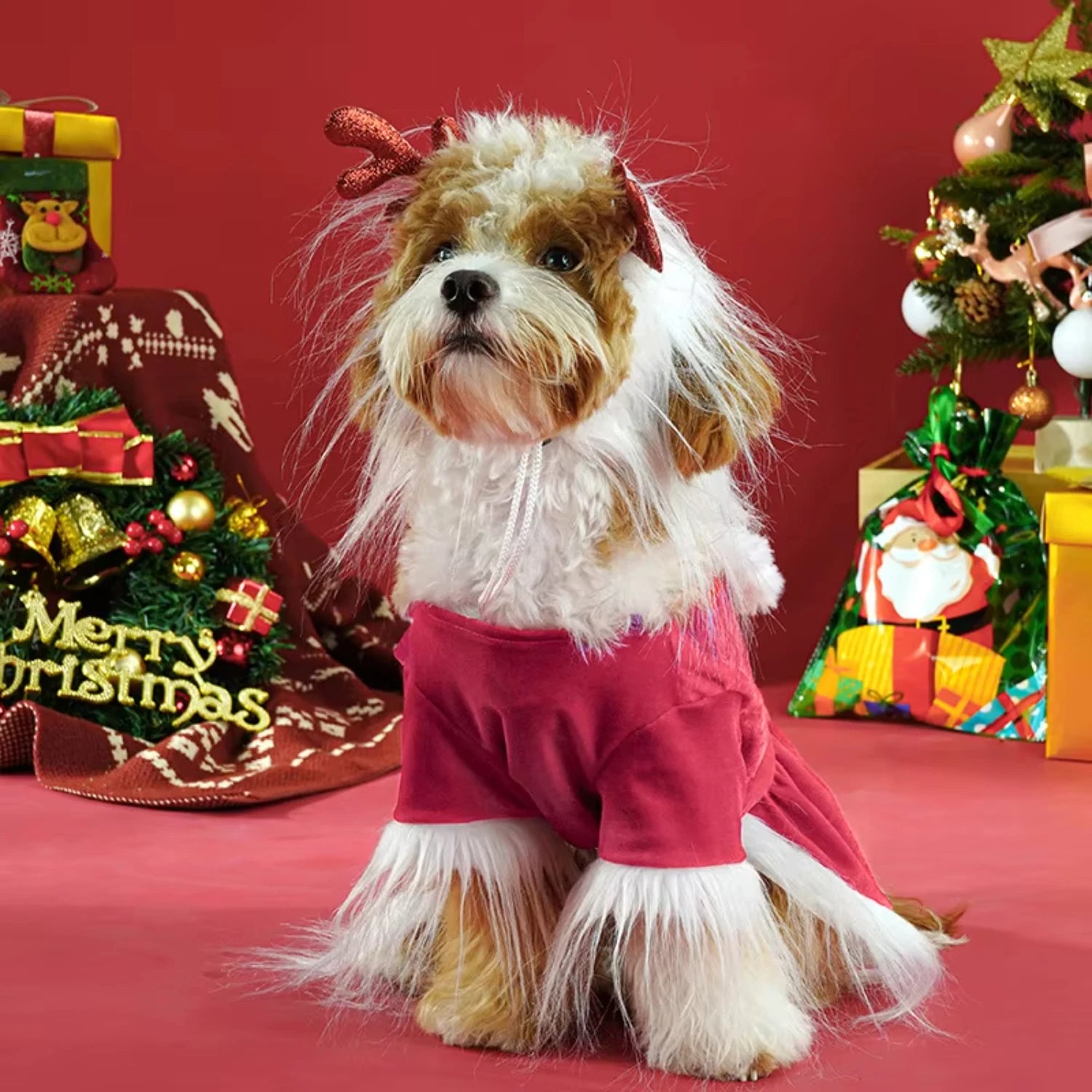 Santa Claus Dog Dress