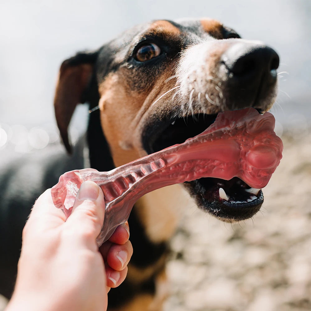 Tough Chew Dog Toy