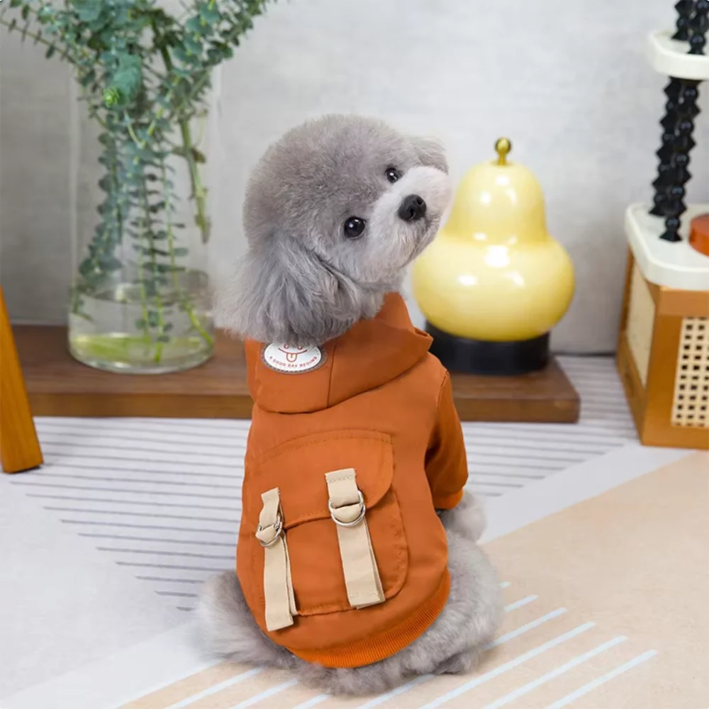 Luxury Dog Hoodie Outfit