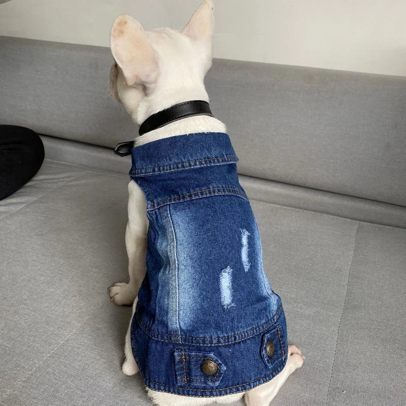 Denim Cat Jacket Outfit