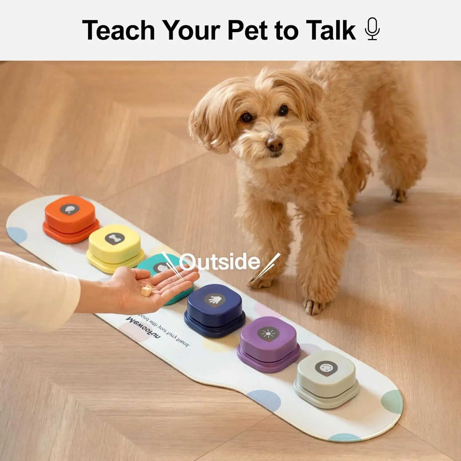Talking Pet Training Buttons