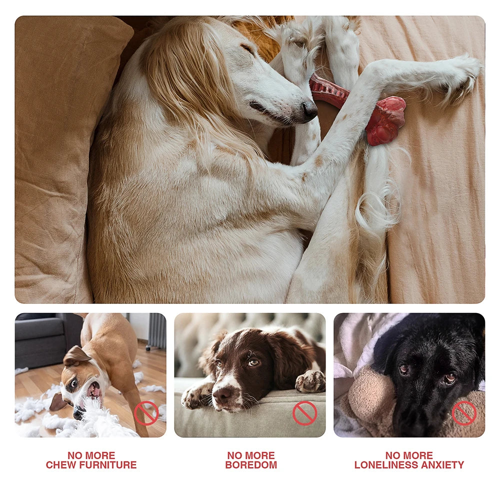 Tough Chew Dog Toy