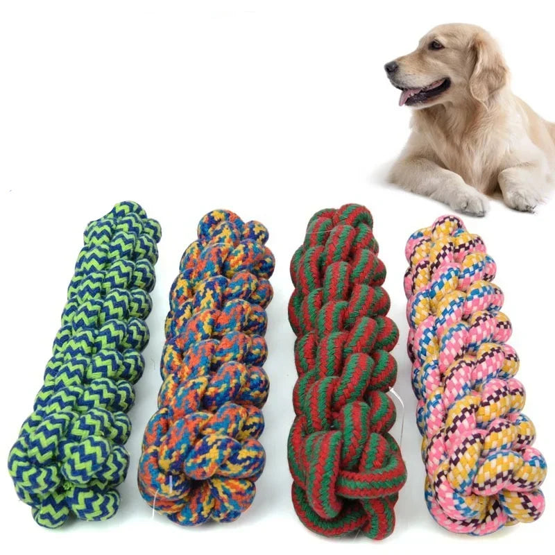 Durable Molar Dog Rope