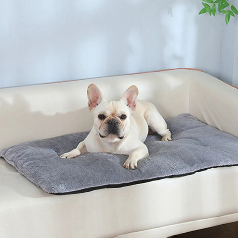 Heated Plush Pet Mat