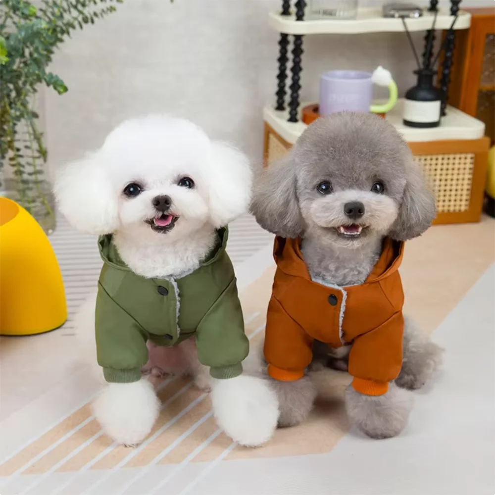 Luxury Dog Hoodie Outfit