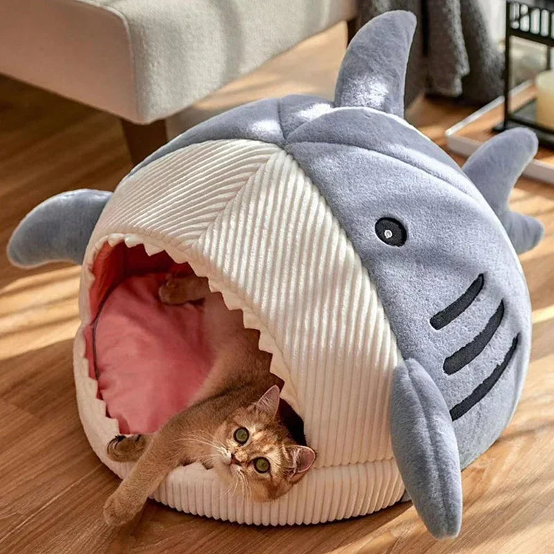 Cartoon Shark Cat Bed