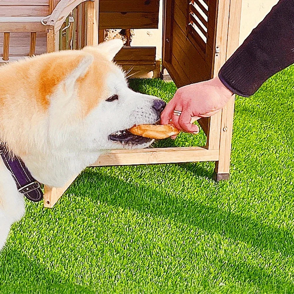 Duck Rawhide Donut Chews