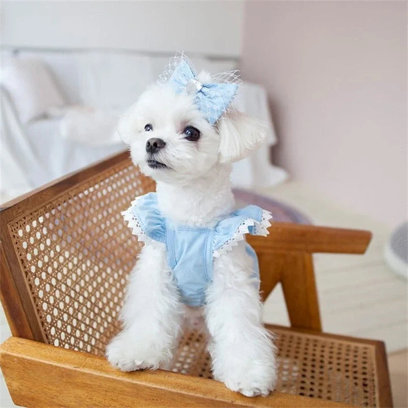 Sky Blue Princess Dress