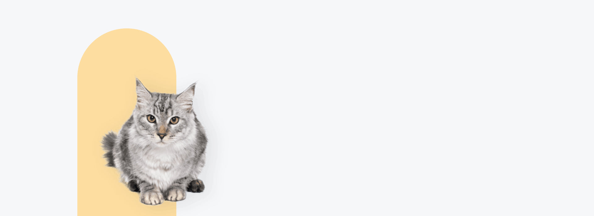 _img_banner