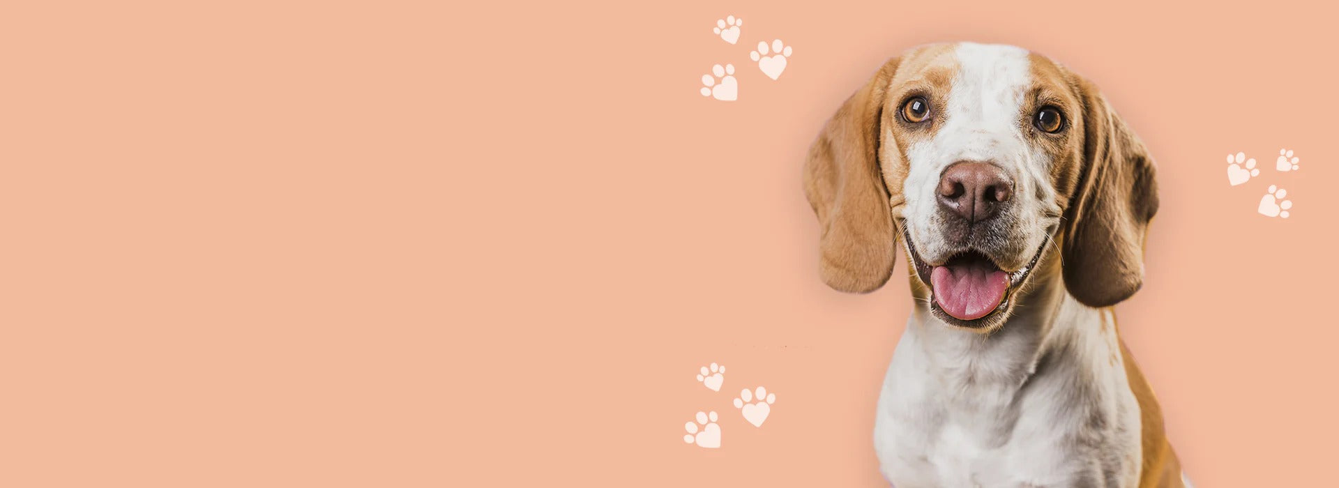_img_banner