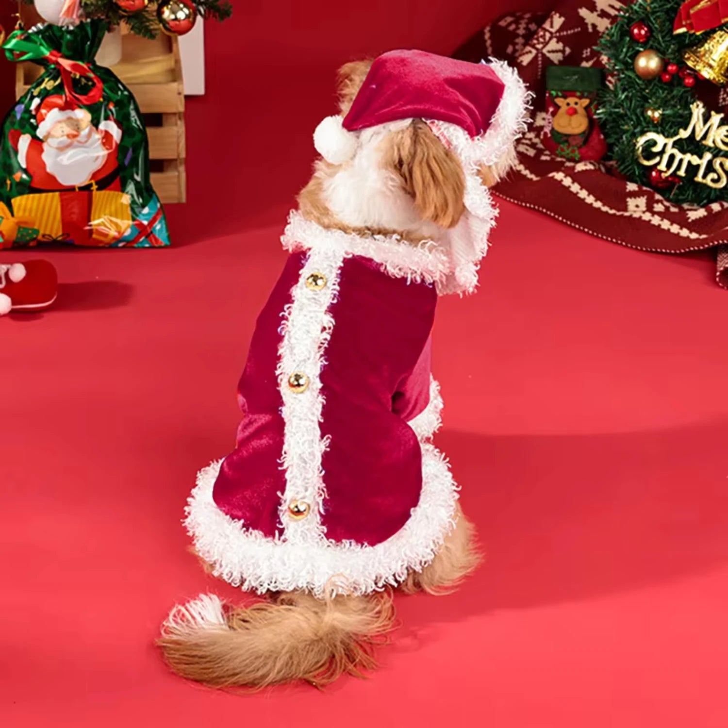 Santa Claus Dog Dress