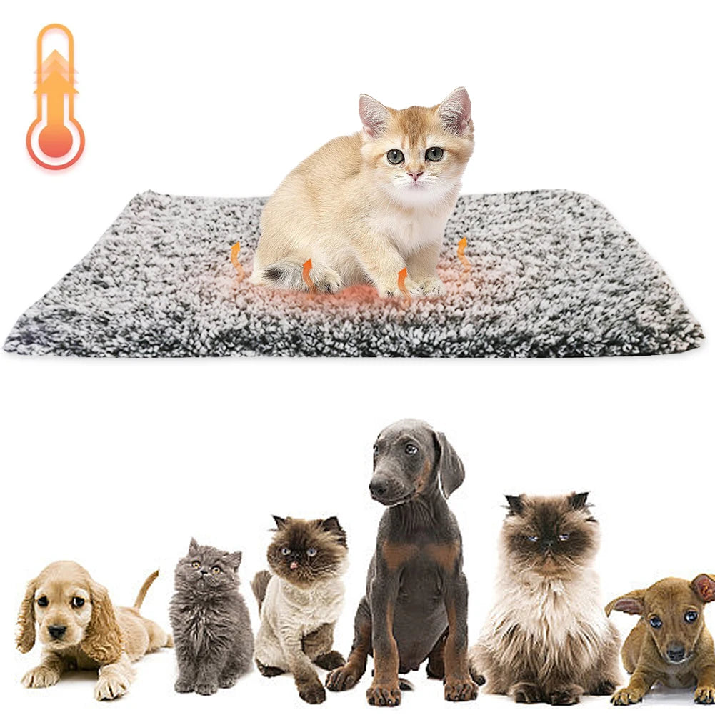 Self-Warming Pet Bed