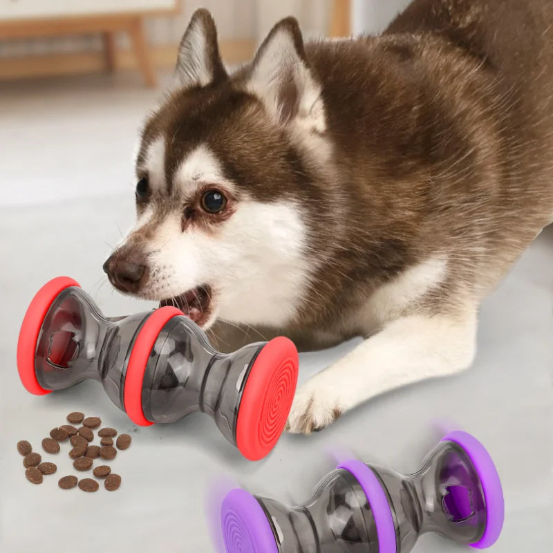 Leaky Food Puzzle Toy