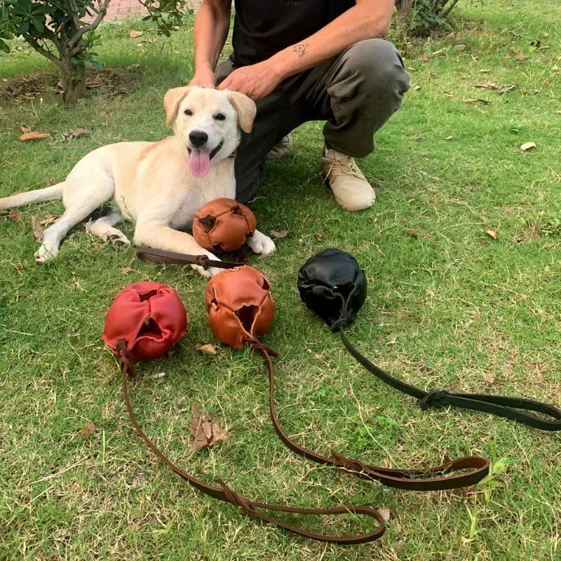 Leather Tug Dog Toy