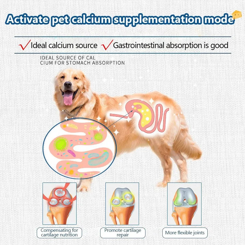 Cheesy Freeze-Dried Treats