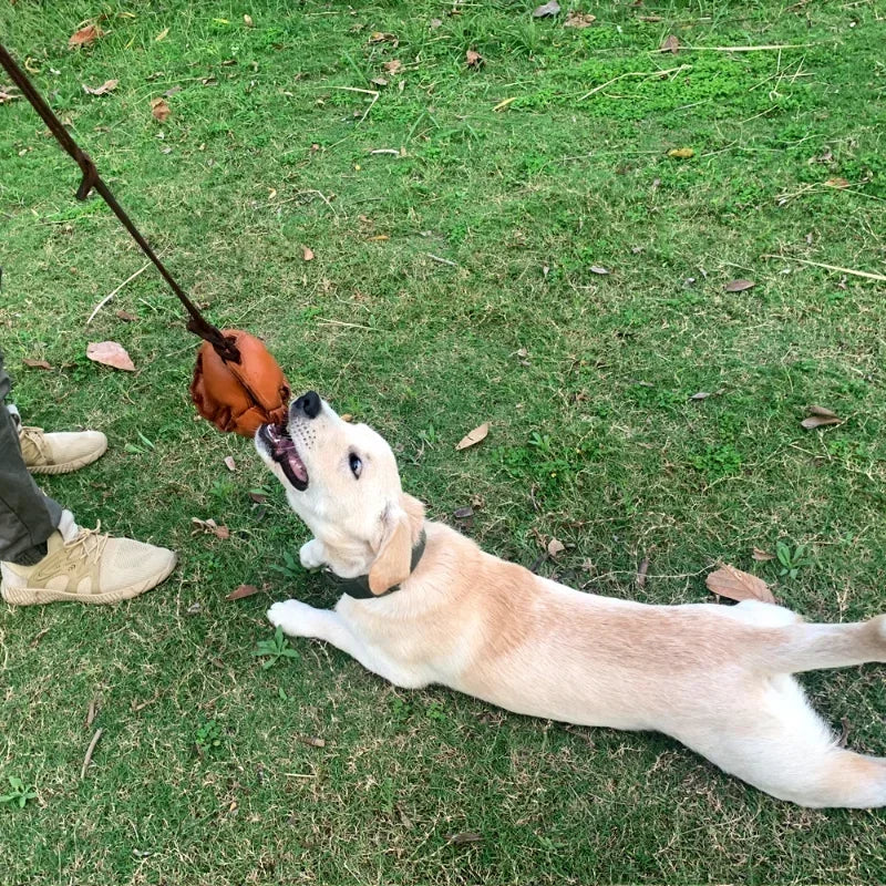 Leather Tug Dog Toy