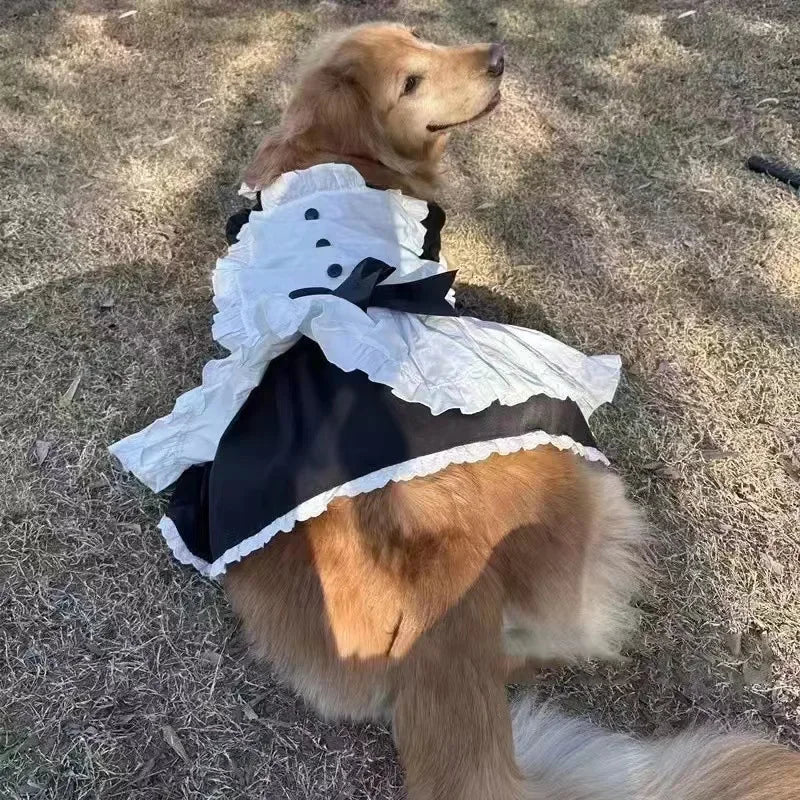 Summer Cosplay Dog Dress
