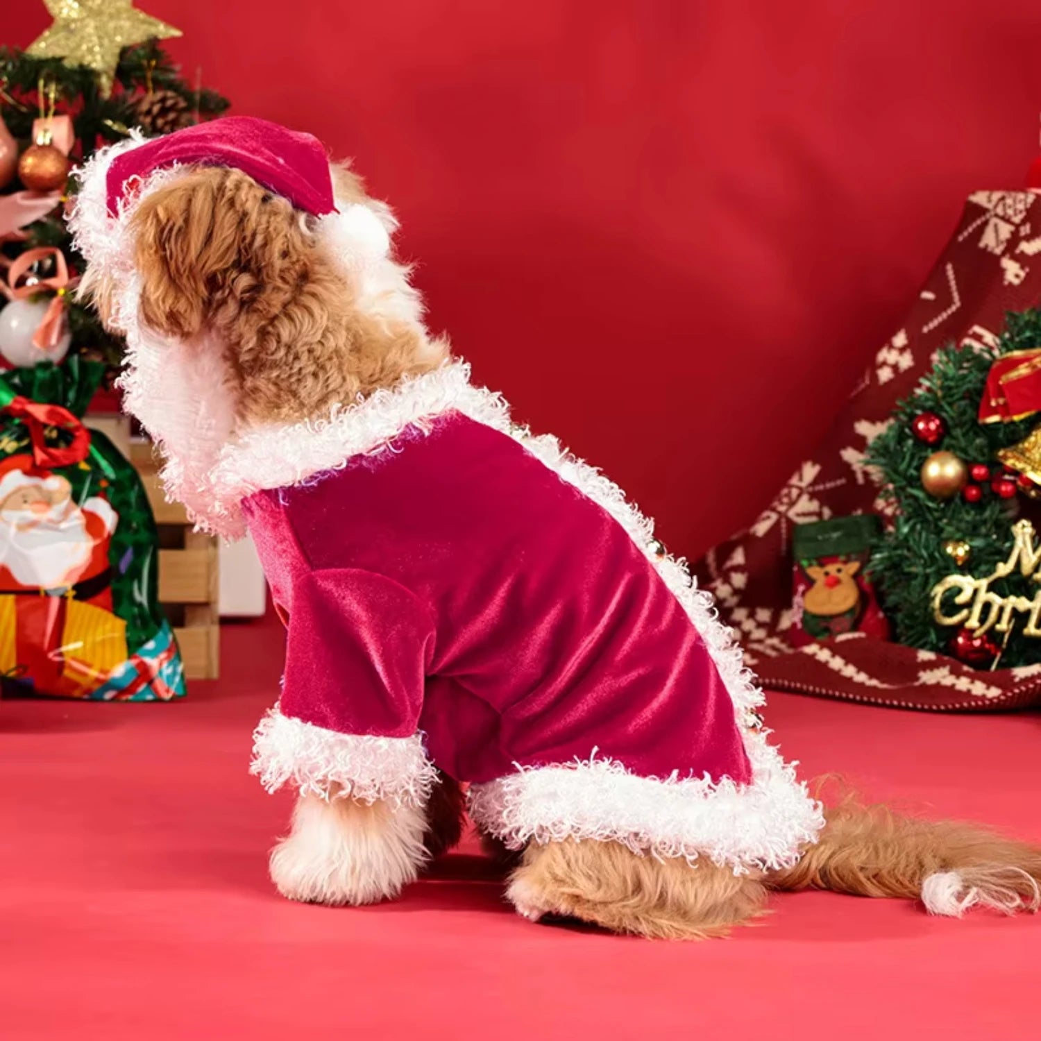 Santa Claus Dog Dress