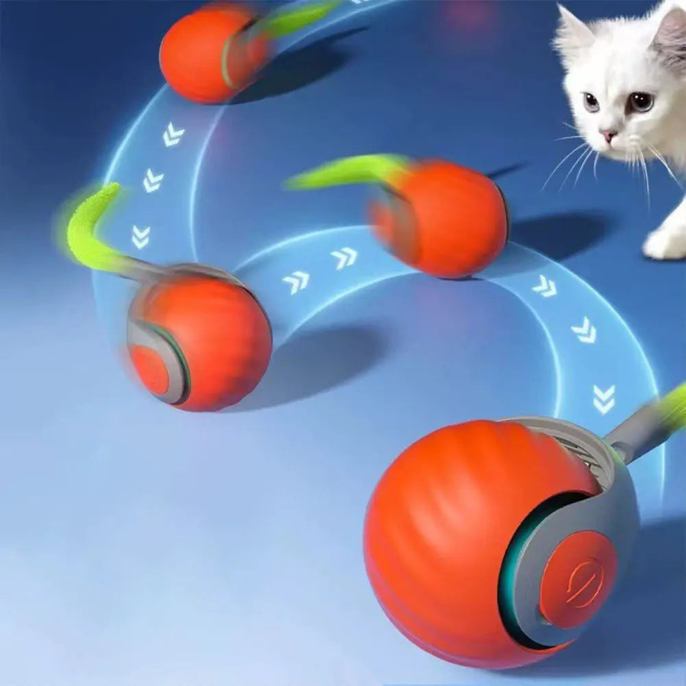 Speedy Tail 2.0 Toy