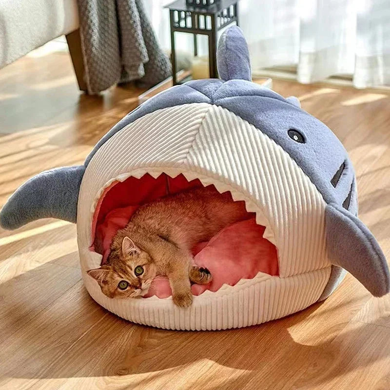 Cartoon Shark Cat Bed