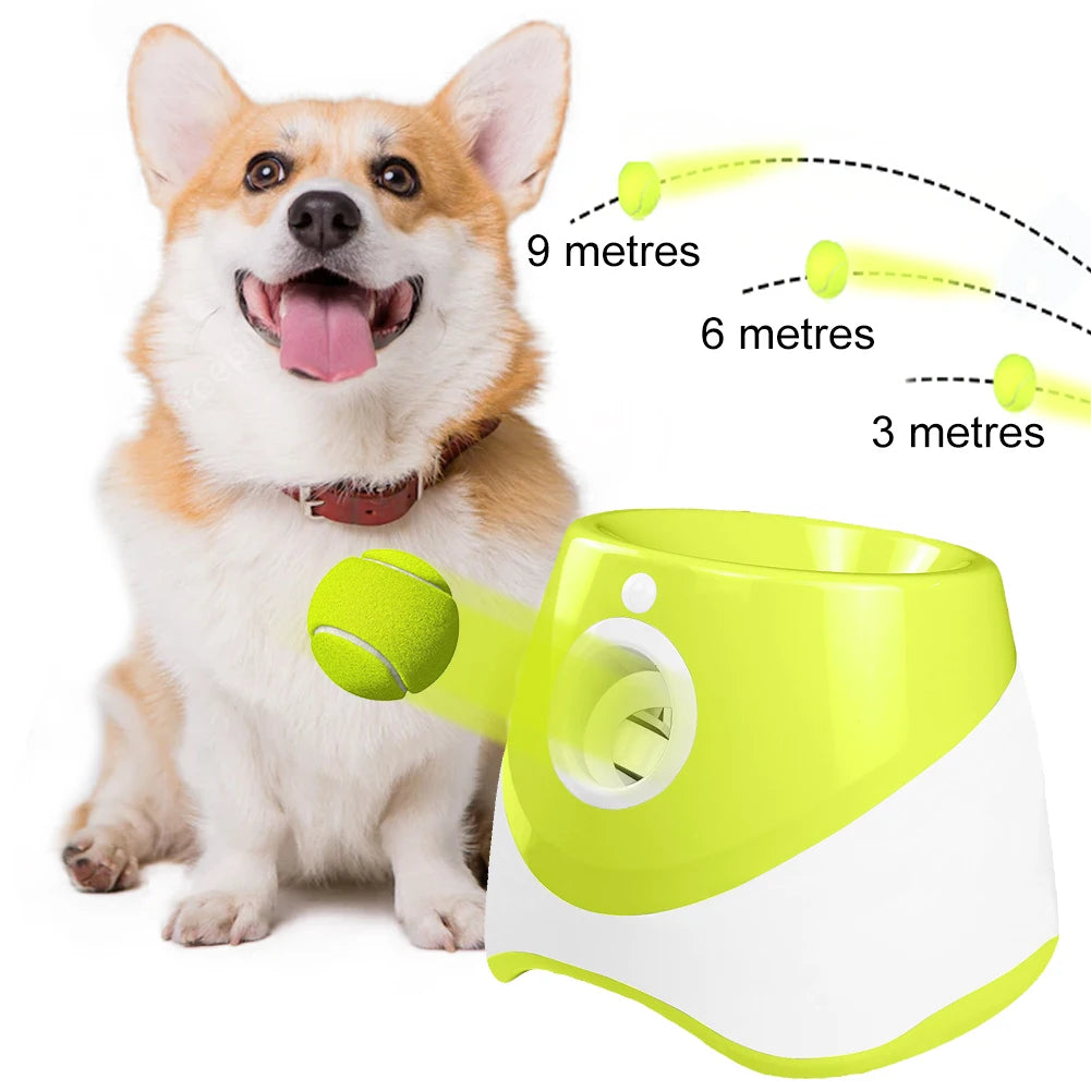Automatic Dog Ball Launcher