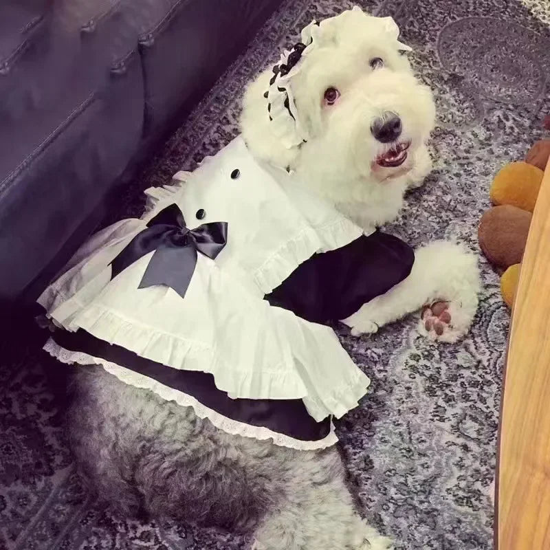 Summer Cosplay Dog Dress