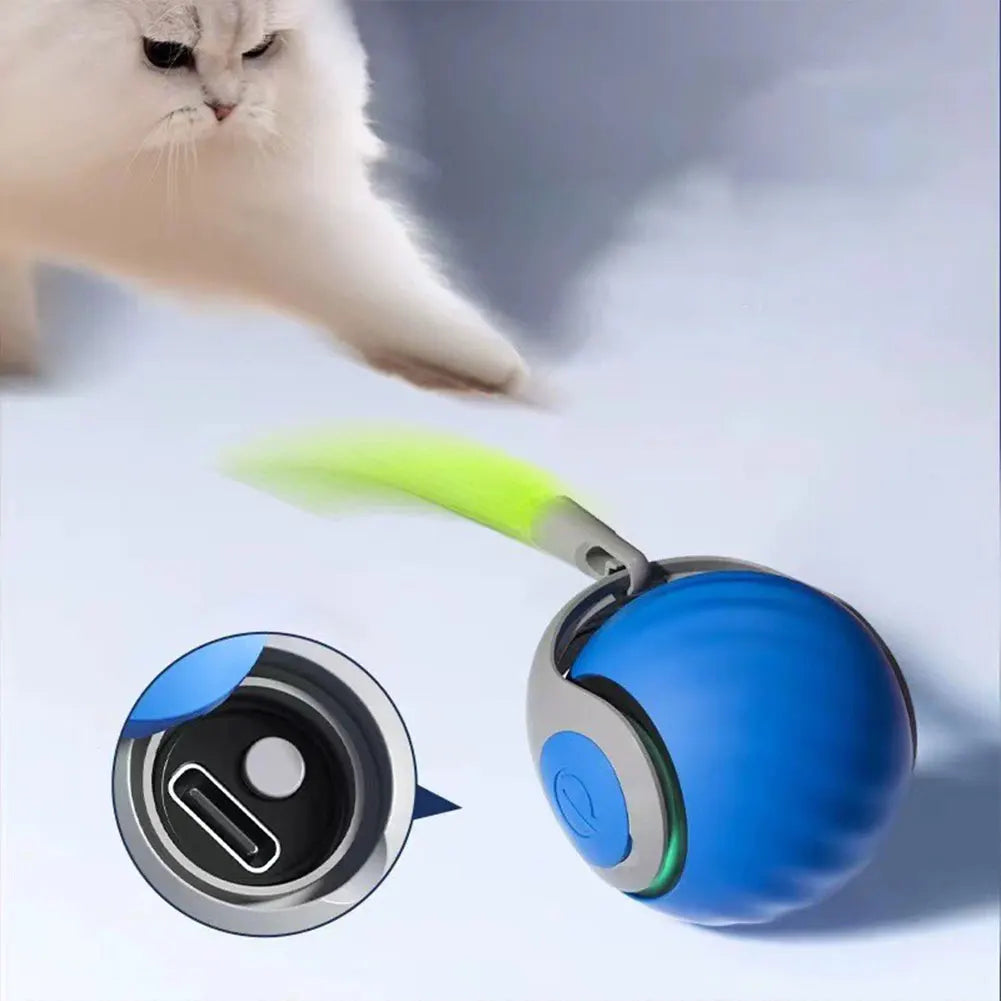 Speedy Tail 2.0 Toy