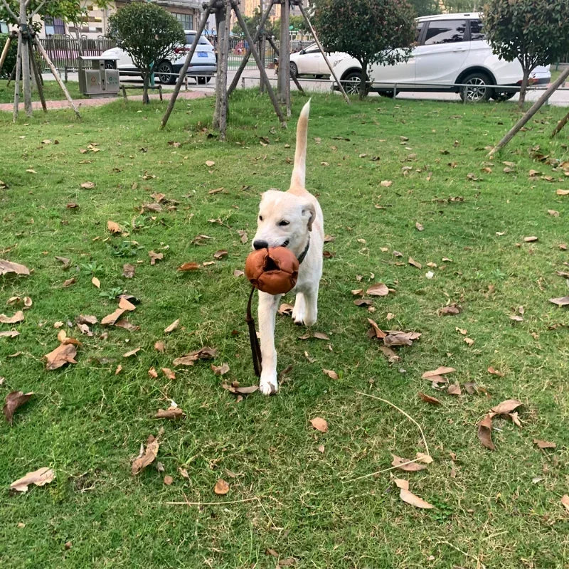 Leather Tug Dog Toy