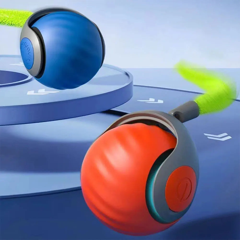Speedy Tail 2.0 Toy
