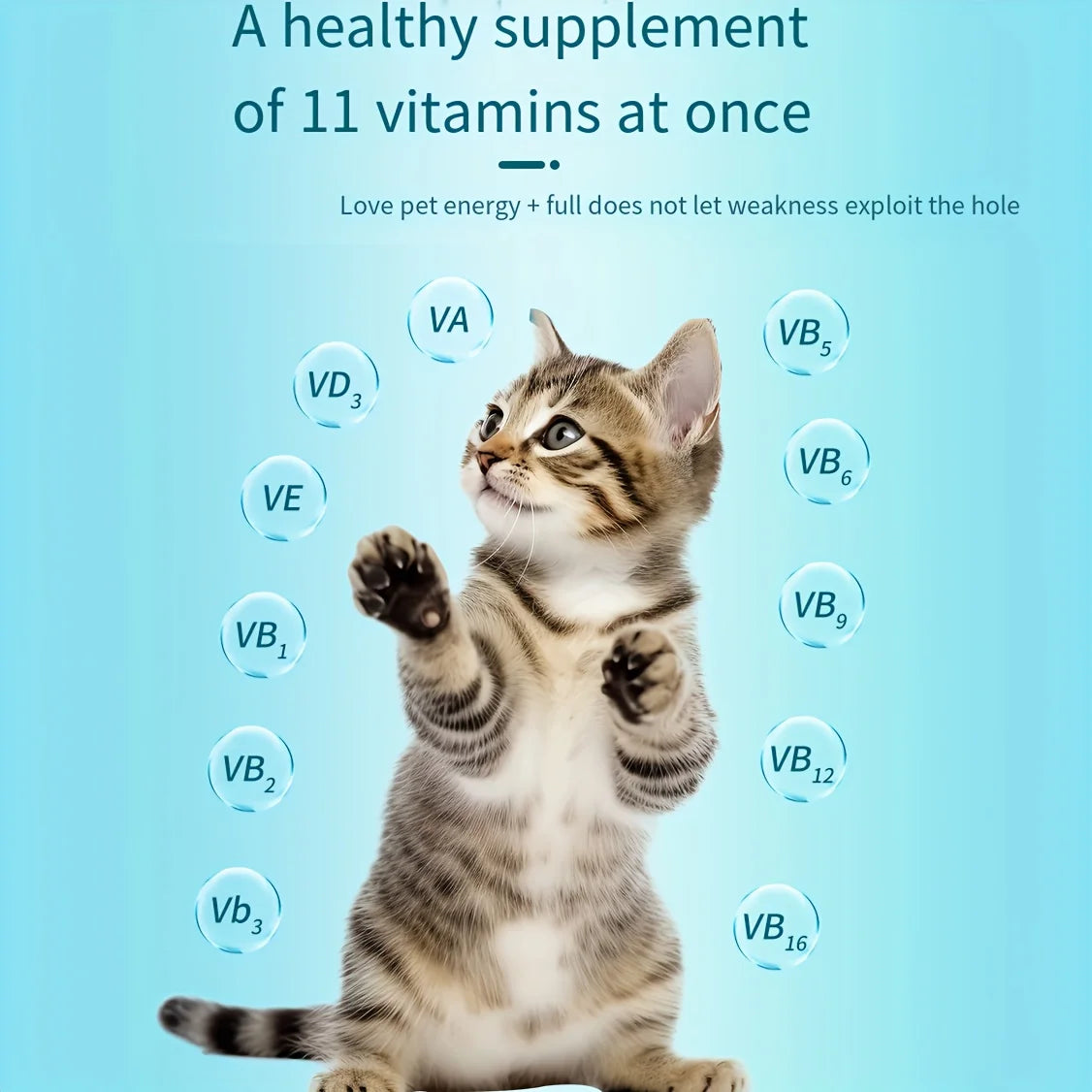 Healthy Pets Daily Boost