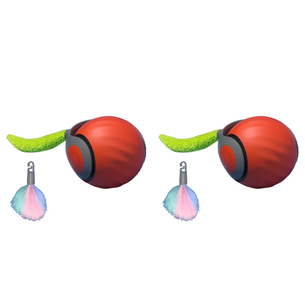Speedy Tail 2.0 Toy