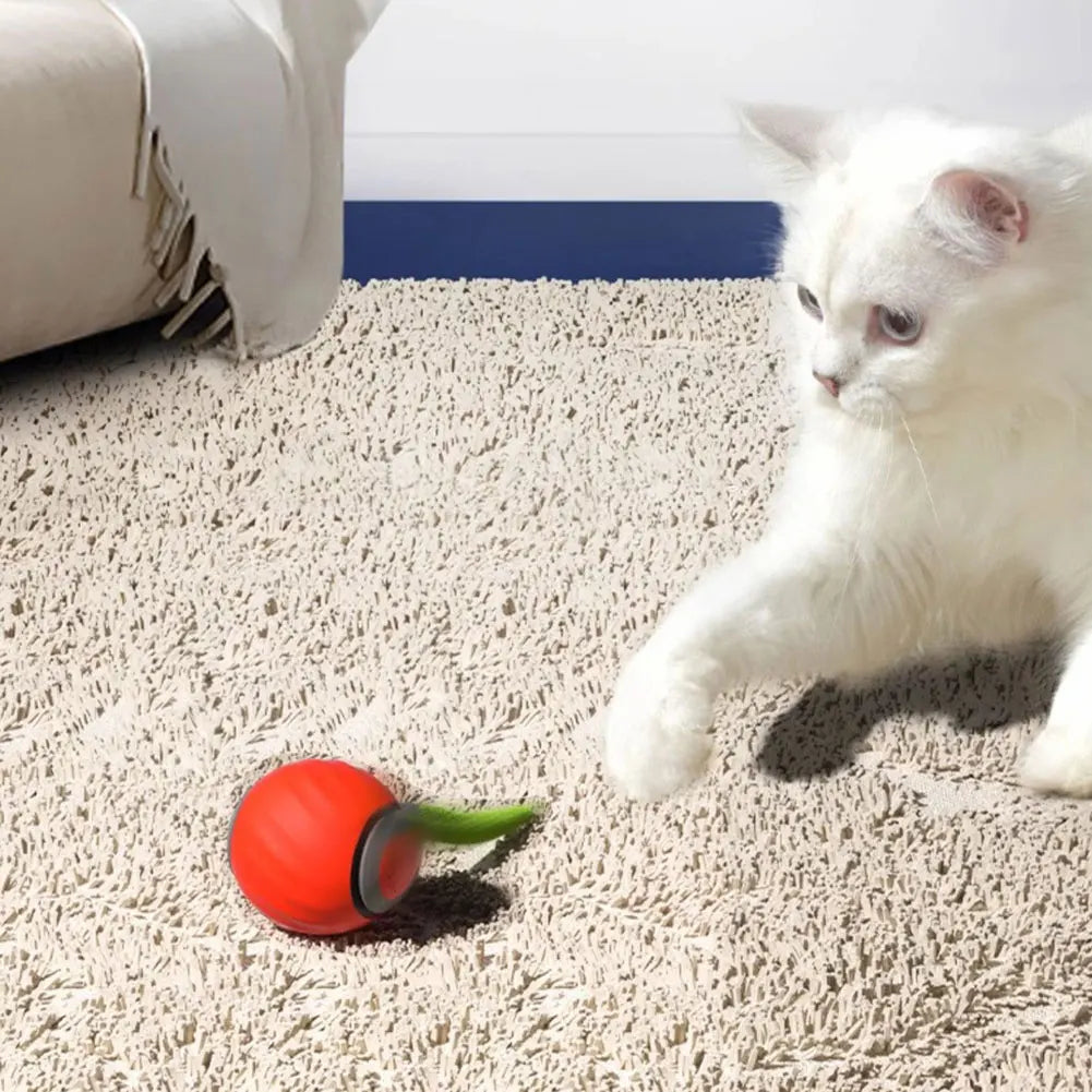 Speedy Tail 2.0 Toy